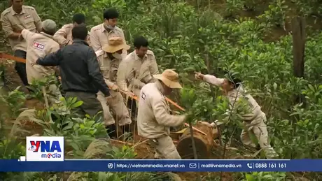 Tham vấn chính sách khắc phục hậu quả bom mìn ở Việt Nam