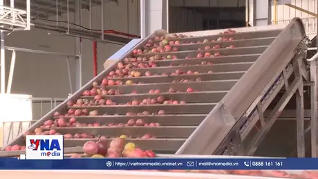 Gia Lai hoàn thiện 