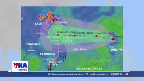 Chủ động ứng phó áp thấp nhiệt đới mạnh lên thành bão