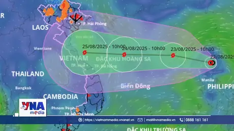 12 tỉnh, thành khẩn trương triển khai phương án ứng phó bão