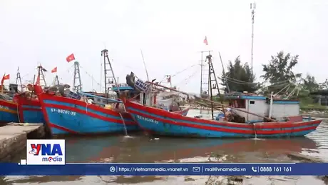 Tin nhanh về bão số 5