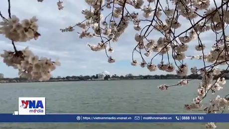 Mỹ sẽ chi 2 tỷ USD để làm đẹp thủ đô Washington