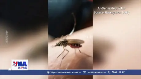Bệnh chikungunya đang lây lan toàn cầu