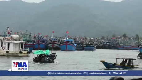 Bão số 5 giật cấp 15 khi vào vùng biển ven bờ miền Trung