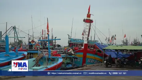 Ngư dân Quảng Ngãi chủ động phòng tránh bão số 5