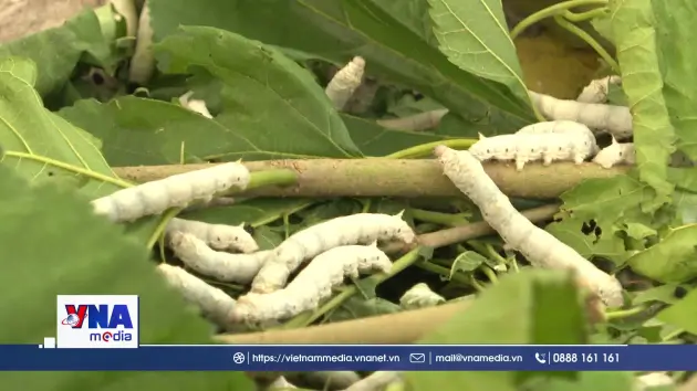 Đa canh giúp đồng bào thiểu số vùng biên