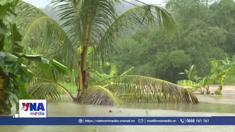 Cục Đường bộ khẩn cấp ứng phó bão số 5