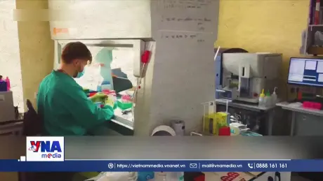 Mỹ đình chỉ lưu hành vaccine Ixchiq phòng virus chikungunya