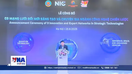Công bố 3 Mạng lưới Đổi mới sáng tạo và chuyên gia công nghệ chiến lược