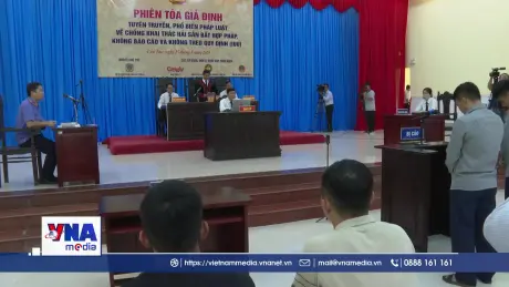 Phiên tòa giả định chống khai thác IUU