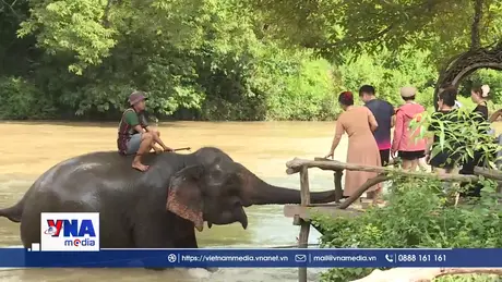 Kết nối du lịch biển đảo với văn hóa đại ngàn Tây Nguyên
