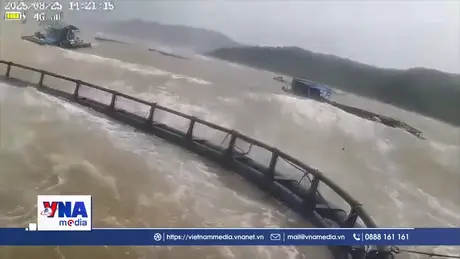4 người ở Quảng Trị bị thương do bão số 5