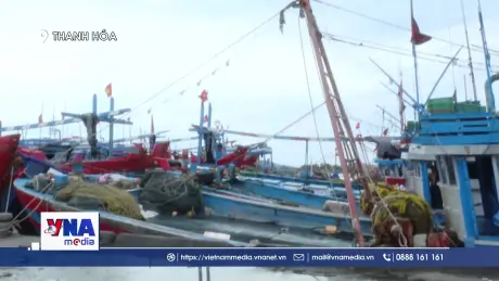 Thanh Hóa triển khai nhiệm vụ cấp bách trước khi bão đổ bộ