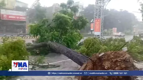 Bão số 5 gây gió to, mưa lớn tại Thanh Hóa