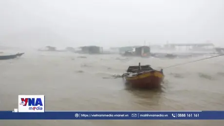 Ứng phó với vùng áp thấp có khả năng mạnh lên thành áp thấp nhiệt đới