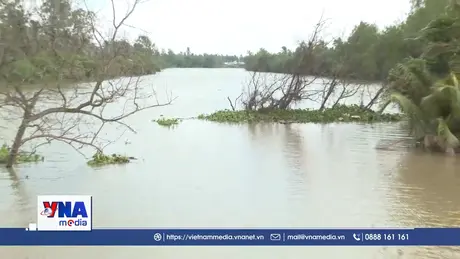 Vĩnh Long công bố khẩn cấp sự cố sạt lở đê bao Bắc rạch Trà Cú