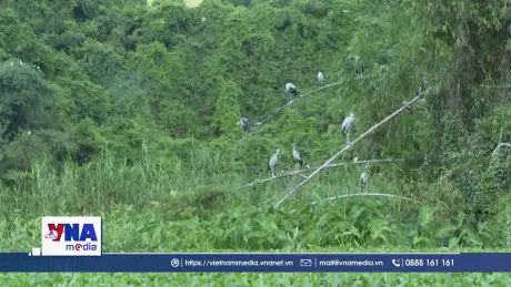 Vườn chim Thung Nham giữa lòng di sản thiên nhiên