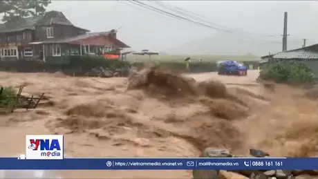 Tình hình thiệt hại do bão số 5 và mưa lũ