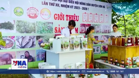 Lối phát triển thành doanh nghiệp an toàn cho hộ kinh doanh