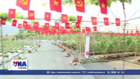 Khu du lịch Quốc gia Mộc Châu thu hút khách du lịch dịp nghỉ lễ 2/9