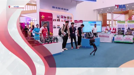 S Việt Nam ngày 29/8/2025