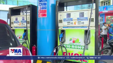 Chưa ghi nhận động cơ gặp sự cố khi sử dụng xăng sinh học