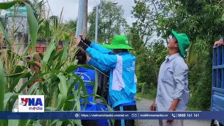 Mùa hè tình nguyện – Góp sức trẻ xây dựng quê hương
