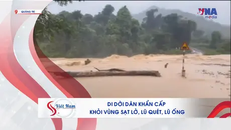 S Việt Nam ngày 31/8/2025