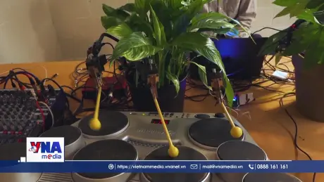 Du dương thanh âm từ nấm và cây cối