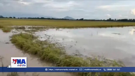 Lâm Đồng khẩn trương khắc phục hậu quả do mưa lũ