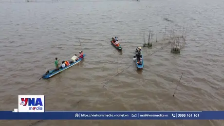 Về Đồng Tháp, trải nghiệm du lịch mùa nước nổi