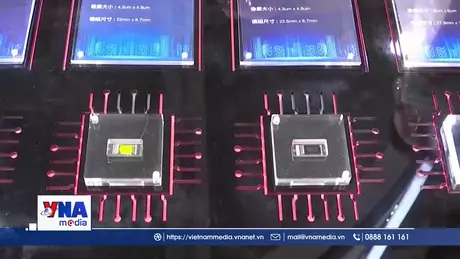 Mỹ hủy quyền miễn trừ xuất khẩu chip với TSMC tại Trung Quốc