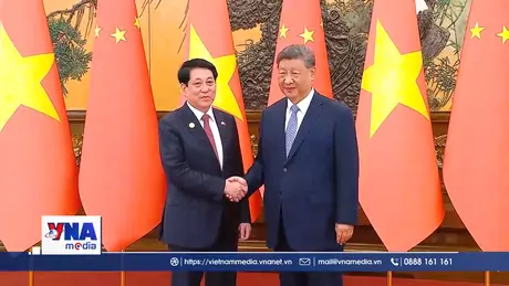 Chủ tịch nước hội đàm với Tổng Bí thư, Chủ tịch nước Trung Quốc Tập Cận Bình