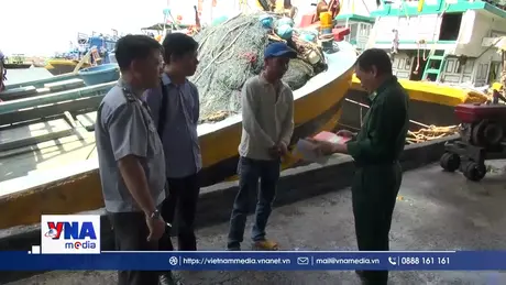 Gần 800 tàu cá Lâm Đồng đã hết hạn đăng kiểm
