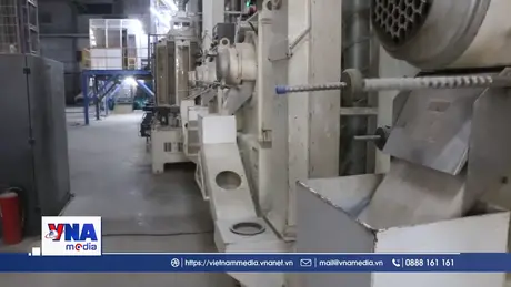 Tháo gỡ khó khăn cho doanh nghiệp kinh doanh lúa gạo