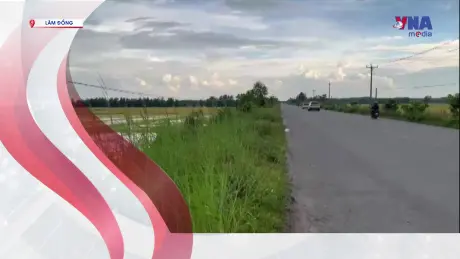 S Việt Nam ngày 4/9/2025