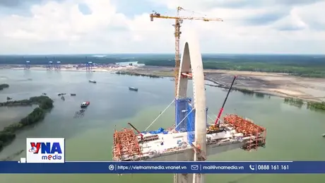 Căng bó cáp dây văng đầu tiên của dự án cầu Phước An