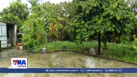 Chủ động kiểm soát dịch sốt xuất huyết bảo vệ sức khỏe cộng đồng