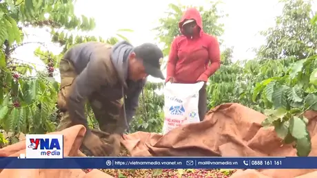 Hội nghị cấp cao Đối thoại hợp tác nông nghiệp Việt - Nhật lần thứ 6