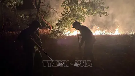 Dập tắt vụ cháy rừng ở Huế, phát hiện thi thể một người đàn ông