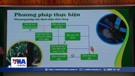 Côn Đảo xây dựng mô hình bán tín chỉ carbon từ rừng biển