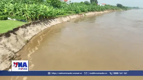 Thông tin “Vỡ đê hữu Thao ở Phú Thọ” là không chính xác