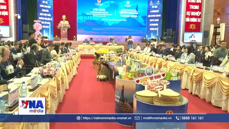 Tây Ninh đẩy mạnh logistics, thương mại điện tử, mở rộng thị trường xuất khẩu