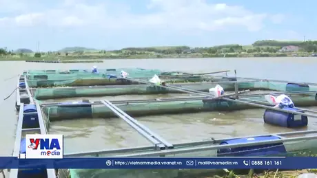 Nuôi cá lồng bè bền vững trên lòng hồ An Khê – Kanak