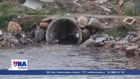 Cần xử lý dứt điểm nguồn nước thải xả ra môi trường tại Nha Trang