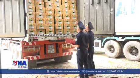 8 tháng, kim ngạch xuất nhập khẩu của Cao Bằng ước đạt 1,046 tỷ USD