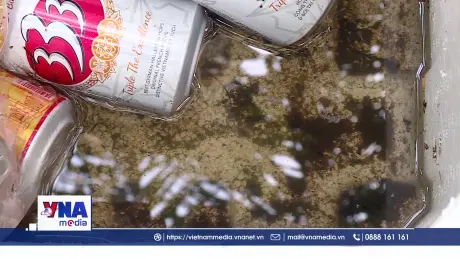 Xử lý ổ dịch sốt xuất huyết trong cộng đồng