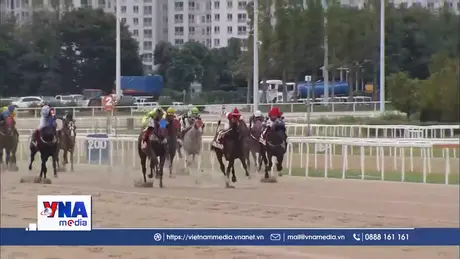 Sôi động giải đua ngựa tại Hàn Quốc