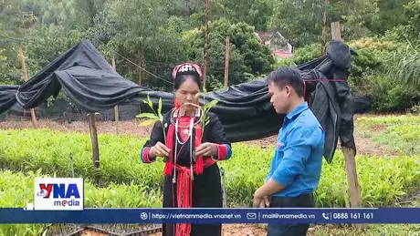 Dấu ấn đổi thay ở vùng đồng bào dân tộc thiểu số