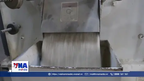 Thị trường lúa gạo trước biến động tạm ngừng nhập khẩu từ 2 quốc gia